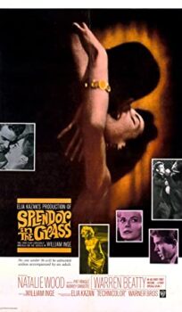 Splendor in the Grass