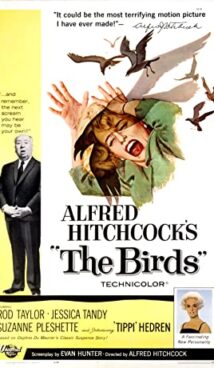 The Birds