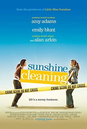 300px x 444px - Sunshine Cleaning - MoviePooper