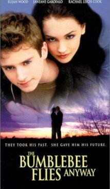 The Bumblebee Flies Anyway