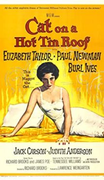 Cat on a Hot Tin Roof