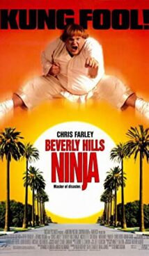 Beverly Hills Ninja