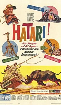 Hatari