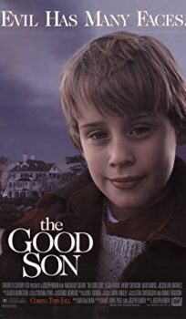 The Good Son